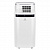 Мобильный кондиционер Electrolux EACM-22 JK/N3 Ice Column в Горловке